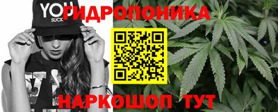 гидра Краснознаменск