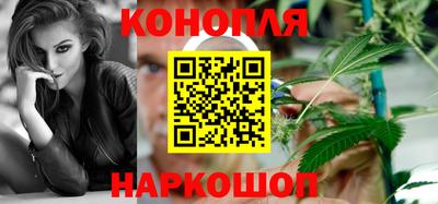 гидра Краснознаменск