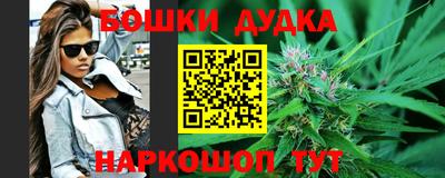 гидра Краснознаменск