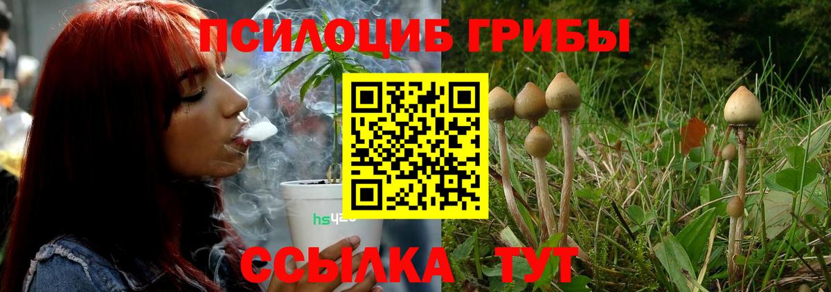 цена   Псилоцибиновые грибы Cubensis  Вход с VPN  Энгельс  Псилоцибиновые грибы Magic Shrooms 